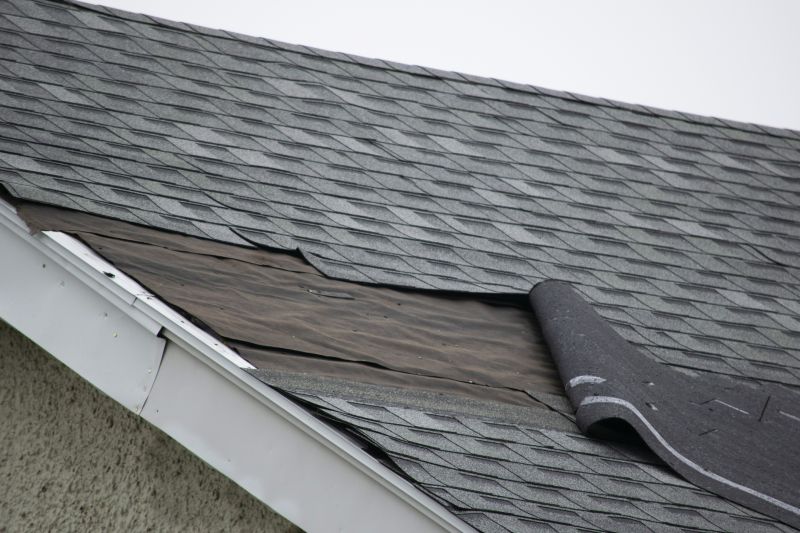 Crack Repair on Shingles