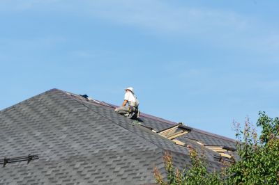Professional Roof Repair